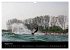 Kitesurfen - Faszination auf dem Wasser... - Bild 14