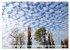 Wolke 7 (Wandkalender 2026 DIN A3... - Bild 9