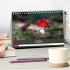Waldpilz-Impressionen (Tischkalender... - Bild 2