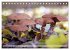 Waldpilz-Impressionen (Tischkalender... - Bild 15