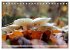 Waldpilz-Impressionen (Tischkalender... - Bild 9