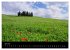 Toskana - Traumlandschaft in Italien... - Bild 11