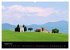 Toskana - Traumlandschaft in Italien... - Bild 13