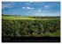 Wales - Pembrokeshire Coast Path... - Bild 13