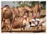 Indien - Rajasthan (Wandkalender 2026... - Bild 4