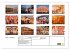 Indien - Rajasthan (Wandkalender 2026... - Bild 6