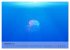 Quallen. Die Welt der Medusen... - Bild 5