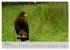 Scharfblick (hochwertiger Premium... - Bild 11