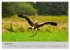 Scharfblick (hochwertiger Premium... - Bild 13