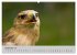 Scharfblick (hochwertiger Premium... - Bild 14