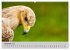 Scharfblick (hochwertiger Premium... - Bild 3