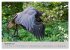 Scharfblick (hochwertiger Premium... - Bild 4