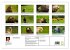 Scharfblick (hochwertiger Premium... - Bild 5