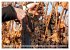 Wein- und Rebsorten aus Rheinland-Pfalz... - Bild 5