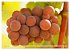Wein- und Rebsorten aus Rheinland-Pfalz... - Bild 8