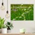 Arzneipflanzen (Wandkalender 2026 DIN... - Bild 2