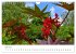 Arzneipflanzen (Wandkalender 2026 DIN... - Bild 12