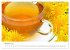 Arzneipflanzen (Wandkalender 2026 DIN... - Bild 3