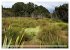 Primärwald - Neuseeland (hochwertiger... - Bild 11