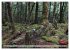 Primärwald - Neuseeland (hochwertiger... - Bild 13