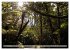 Primärwald - Neuseeland (hochwertiger... - Bild 10