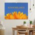 Sonnenblumen (Wandkalender 2026 DIN A2... - Bild 2