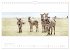Serengeti Panorama (Wandkalender 2026... - Bild 4