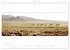 Serengeti Panorama (Wandkalender 2026... - Bild 7