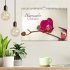 Blütenzauber Orchideen (Wandkalender... - Bild 2