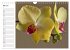 Blütenzauber Orchideen (Wandkalender... - Bild 11