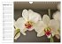 Blütenzauber Orchideen (Wandkalender... - Bild 15