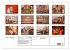 Indien - Varanasi (Wandkalender 2026... - Bild 6