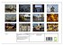 Seoul (Wandkalender 2026 DIN A4 quer),... - Bild 6