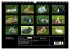 Fotogalerie Fotogalerie