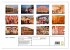 Indien - Rajasthan (hochwertiger... - Bild 5