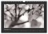 Fotogalerie Fotogalerie