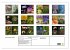 Blumenreise 2026 (Wandkalender 2026 DIN... - Bild 6