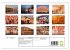 Indien - Rajasthan (Wandkalender 2026... - Bild 2