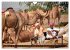 Indien - Rajasthan (Wandkalender 2026... - Bild 4
