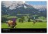 Almabtrieb in Tirol (Wandkalender 2026... - Bild 5