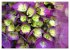 Hortensien / Geburtstagskalender... - Bild 7