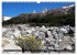 Steine-Reich (Wandkalender 2026 DIN A3... - Bild 12