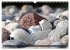 Steine-Reich (Wandkalender 2026 DIN A3... - Bild 7