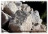 Steine-Reich (Wandkalender 2026 DIN A3... - Bild 8