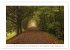 Melancholie-Bodensee 2026 (hochwertiger... - Bild 14
