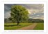 Melancholie-Bodensee 2026 (hochwertiger... - Bild 10