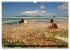 Seychellen (Wandkalender 2026 DIN A3... - Bild 9