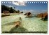 Seychellen (Tischkalender 2026 DIN A5... - Bild 13