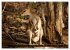 Die Tierwelt in Australien... - Bild 11