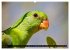 Die Tierwelt in Australien... - Bild 12